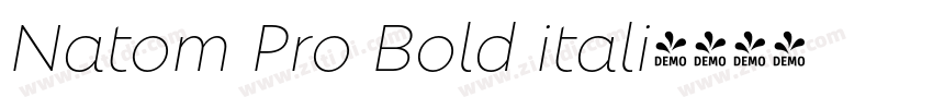Natom Pro Bold itali字体转换